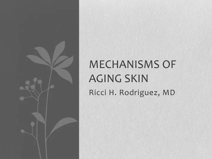 mechanisms of aging skin