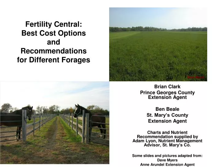 fertility central best cost options and recommendations for different forages
