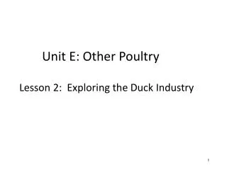 Unit E: Other Poultry