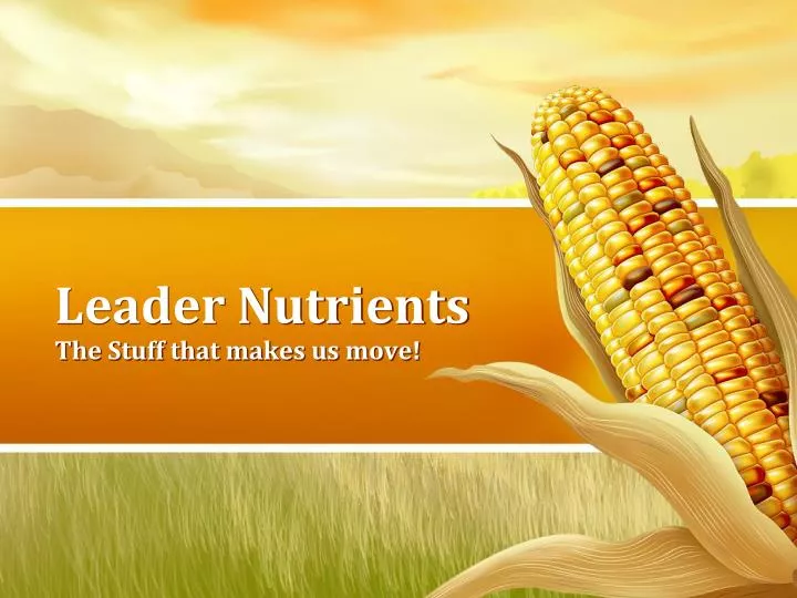 leader nutrients