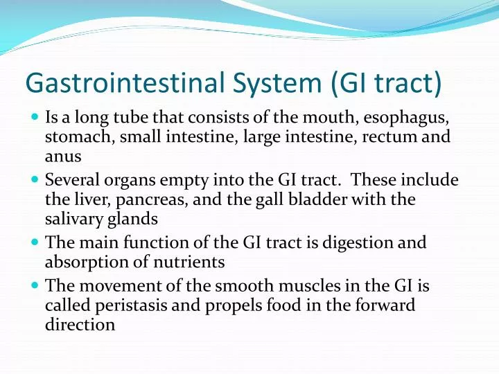 gastrointestinal system gi tract