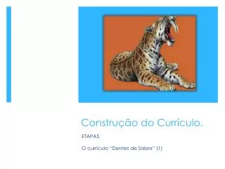 constru o do curr culo