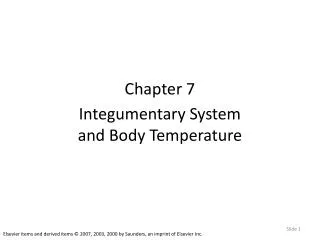 Chapter 7 Integumentary System and Body Temperature