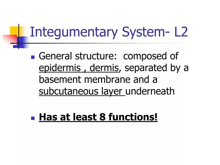 integumentary system l2