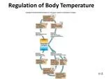 Regulation of Body Temperature