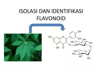 ISOLASI DAN IDENTIFIKASI FLAVONOID