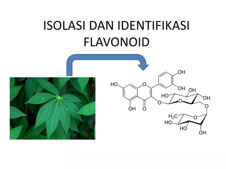 isolasi dan identifikasi flavonoid