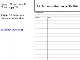 Sponge: Set up Cornell Notes on pg. 51 Topic: 6.4 Accessory Structures of the skin