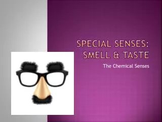 Special Senses: Smell &amp; Taste