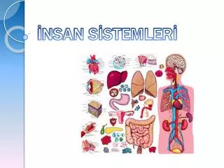 nsan s stemler