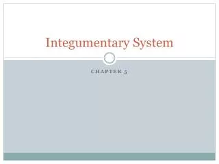 integumentary system