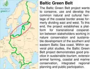 Baltic Green Bel t