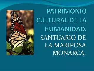 PATRIMONIO CULTURAL DE LA HUMANIDAD.
