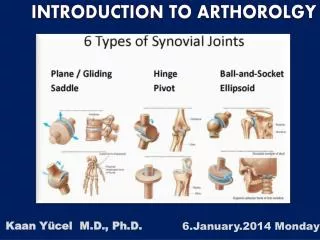 INTRODUCTION TO ARTHOROLGY