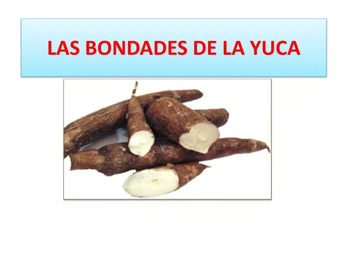 las bondades de la yuca