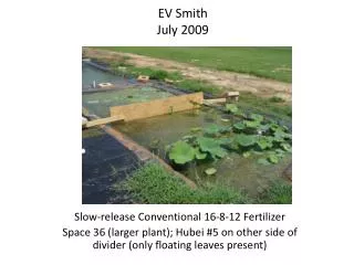 Slow-release Conventional 16-8-12 Fertilizer