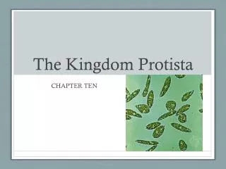 The Kingdom Protista