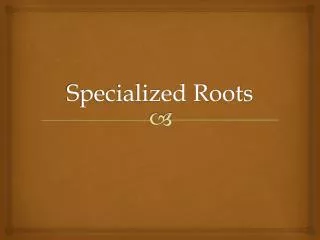 Specialized Roots