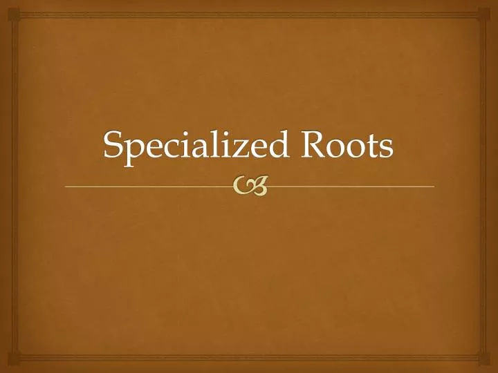 specialized roots