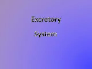 excretory