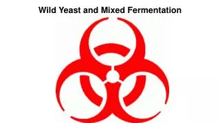 Wild Yeast and Mixed Fermentation