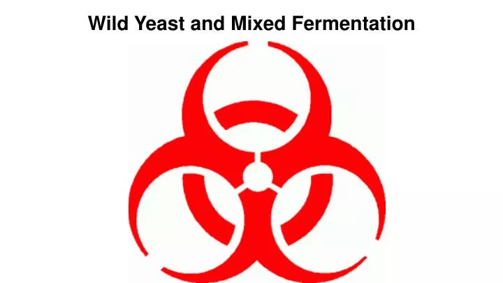 wild yeast and mixed fermentation