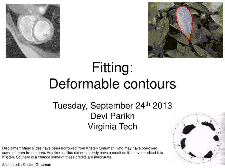 fitting deformable contours