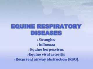 EQUINE RESPIRATORY DISEASES