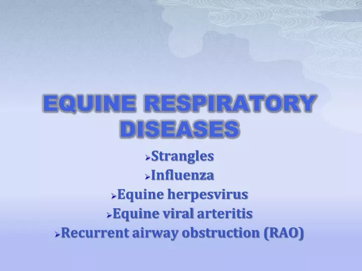 equine respiratory diseases