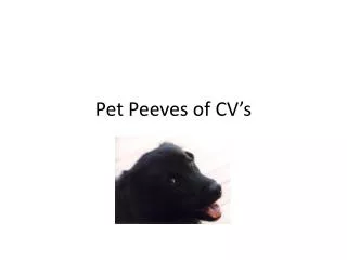 Pet Peeves of CV’s