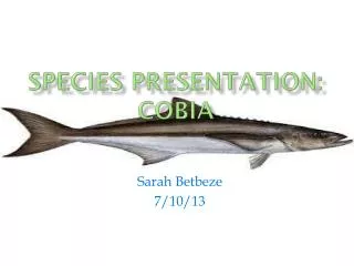 Species Presentation: Cobia