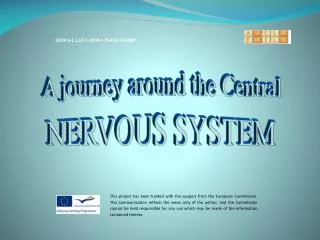 NERVOUS SYSTEM