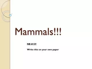 Mammals!!!
