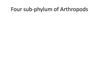 Four s ub-phylum of Arthropods