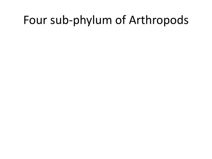 four s ub phylum of arthropods