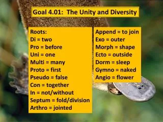 Goal 4.01: The Unity and Diversity
