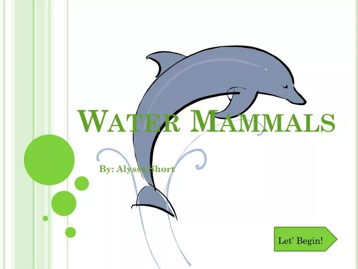 water mammals