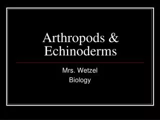 Arthropods &amp; Echinoderms