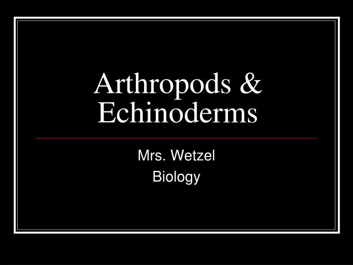 arthropods echinoderms