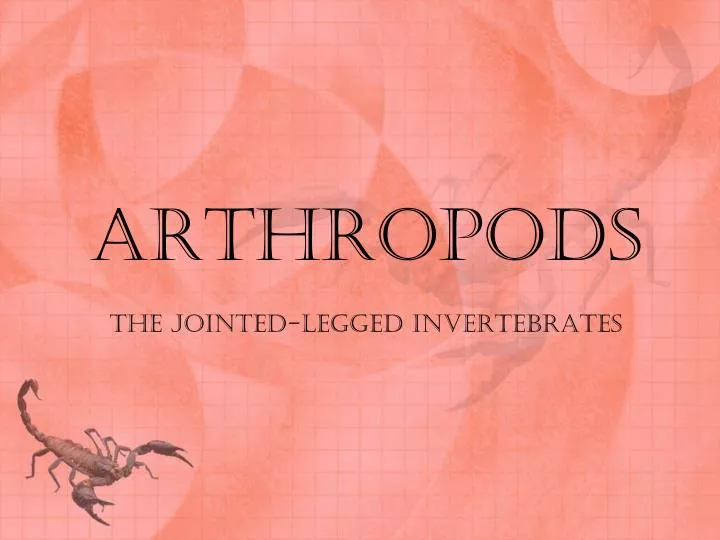 arthropods