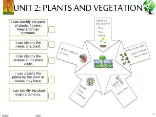 UNIT 2: PLANTS AND VEGETATION