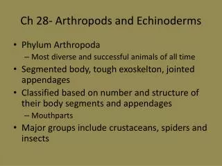 Ch 28- Arthropods and Echinoderms