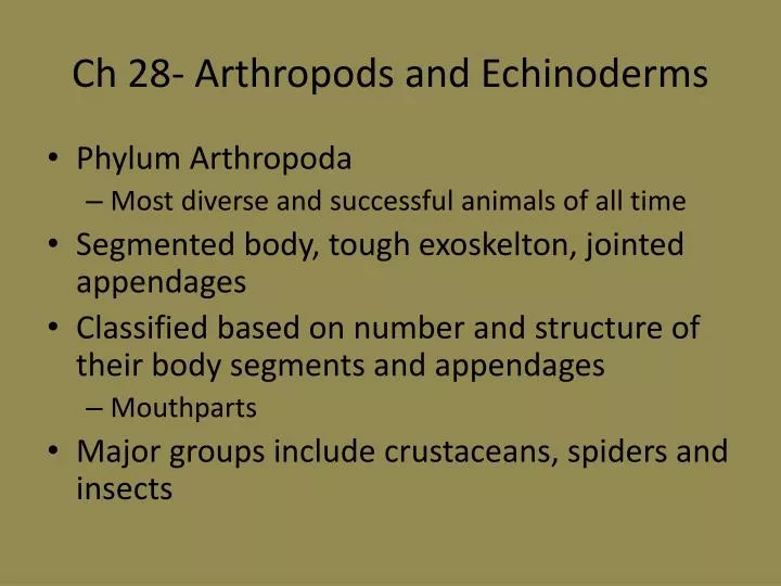 ch 28 arthropods and echinoderms