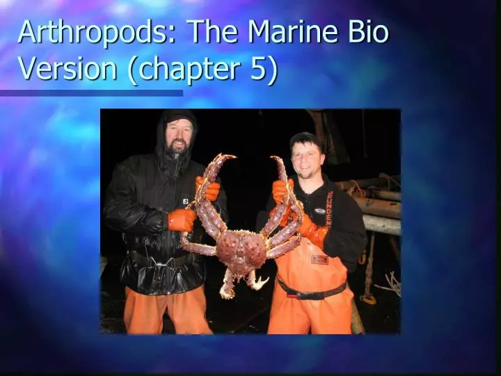 arthropods the marine bio version chapter 5