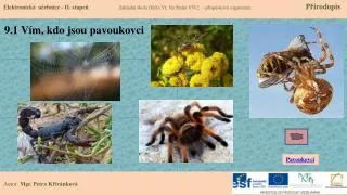 9 1 v m kdo jsou pavoukovci