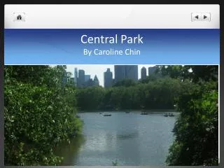 Central Park By Caroline Chin