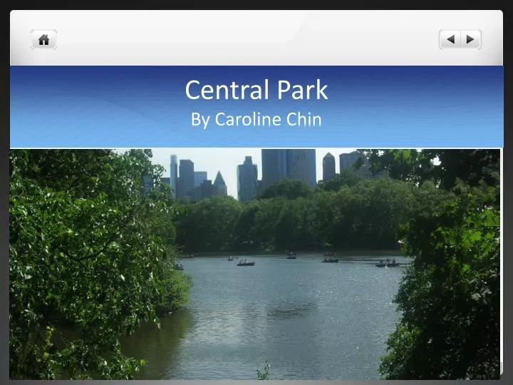 central park by caroline chin