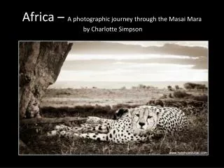Africa – A photographic journey through the Masai Mara by Charlotte Simpson