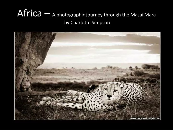 africa a photographic journey through the masai mara by charlotte simpson