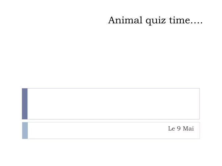animal quiz time